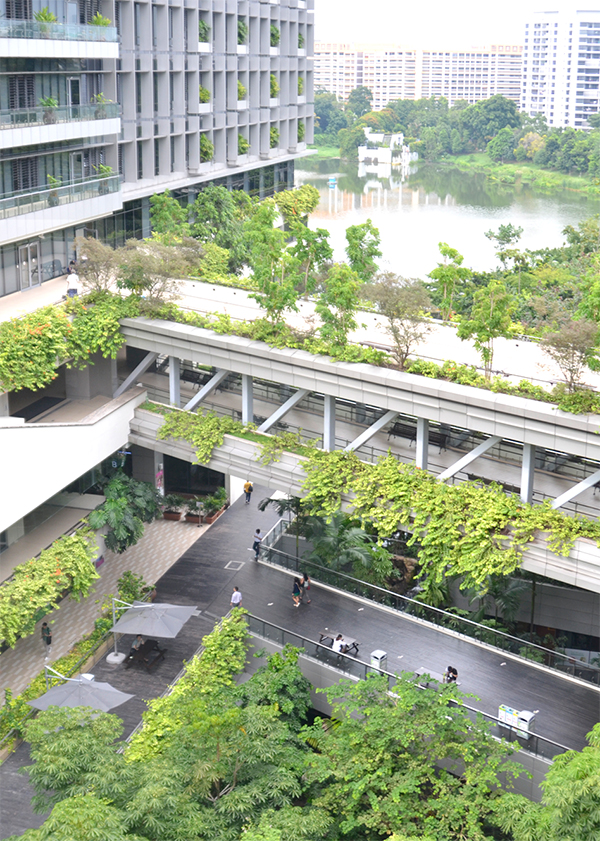 singapore cu tec fuat hospital 